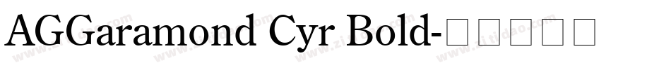 AGGaramond Cyr Bold字体转换